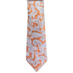 Paisley Augustino Tie and Pocket Square Set Augustino