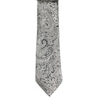 Paisley Augustino Tie and Pocket Square Set Augustino