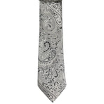 Paisley Augustino Tie and Pocket Square Set Augustino