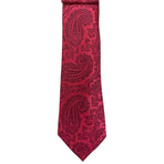 Paisley Augustino Tie and Pocket Square Set Augustino
