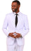 2-piece Men Suit