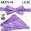 Stacy Adams Paisley Bow Tie Set