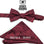 Stacy Adams Paisley Bow Tie Set