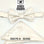 Stacy Adams Paisley Bow Tie Set