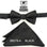 Stacy Adams Paisley Bow Tie Set