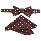 M & R Clothing Stacy Adams brown polka dot pre-tied bow tie and matching pocket square set for formal events