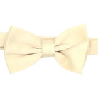 M & R Clothing Stacy Adams solid cream pre-tied bow tie for formal events and weddings