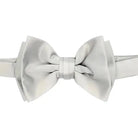 M & R Clothing Stacy Adams solid silver pre-tied bow tie for formal tuxedo or suit attire